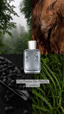 عطر مردانه پارفومز د مارلی کستلی ادوپرفی