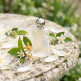 عطر زنانه پارفومز د مارلی والایا ادوپرفیوم حجم ۷۵ میل