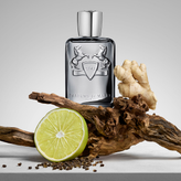 عطر مردانه پارفومز د مارلی کستلی ادوپرفیوم ۱۲۵ میل
