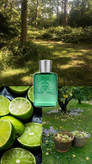 عطر مردانه- زنانه پارفومز د مارلی گرینلی