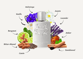 عطر مردانه پارفومز د مارلی پگاسوس ادو پرفیوم حجم ۱۲۵ میل
