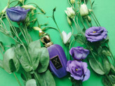 عطر مردانه زنانه زرجوف سوپرانو ادوپرفیوم