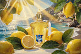 عطر مردانه - زنانه زرجوف کازاموراتی دولچه آمالفی ادو پرفیوم حجم ۱۰۰ میل