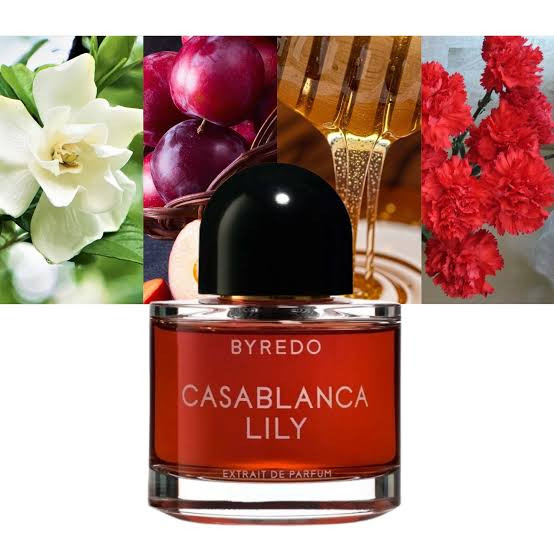 عطر مردانه زنانه بایردو کازابلانکا لیلی اکستریت د پارفوم حجم ۱۰۰ میل
