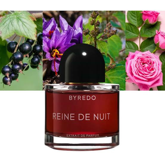 عطر مردانه زنانه بایردو رین د نویت اکستریت د پارفوم حجم 100 میل